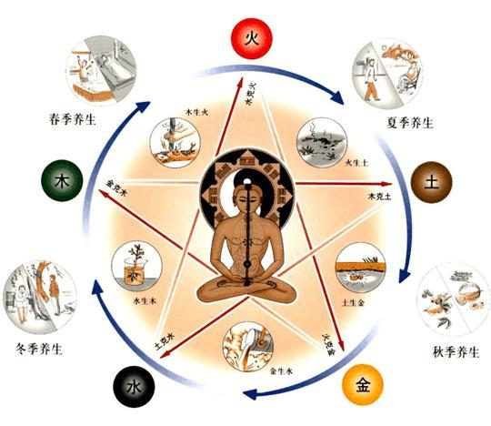 中医(Traditional Chinese Medicine )